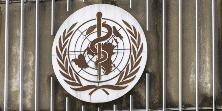 OMS identifica tratamentos e vacinas para serem testados contra Ebola